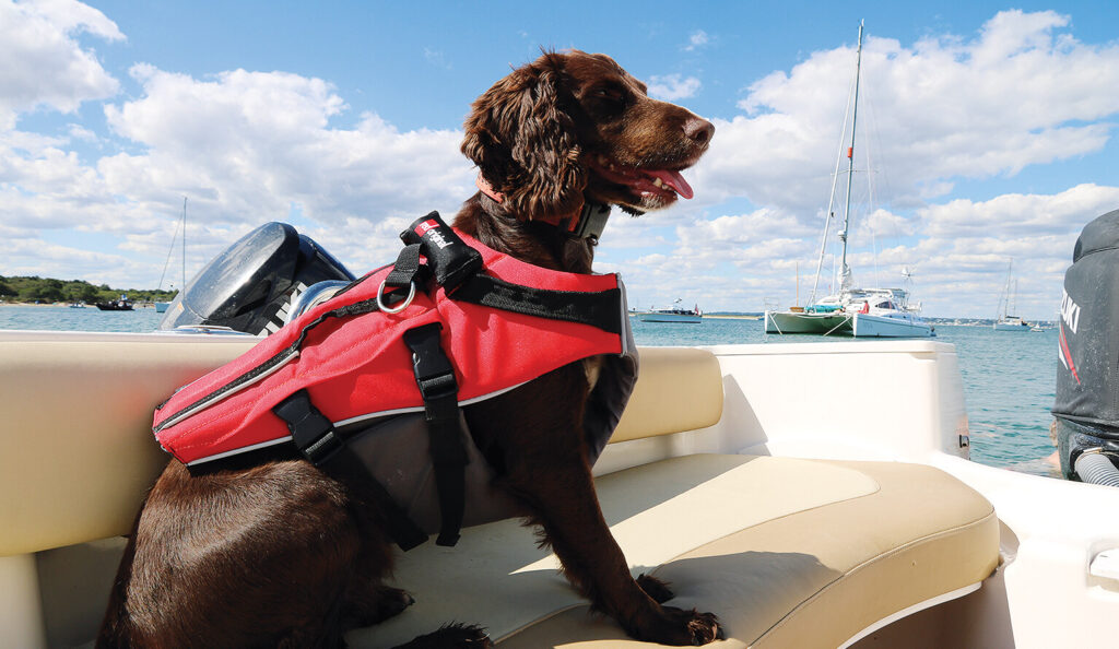 red paddle life jacket for dogs