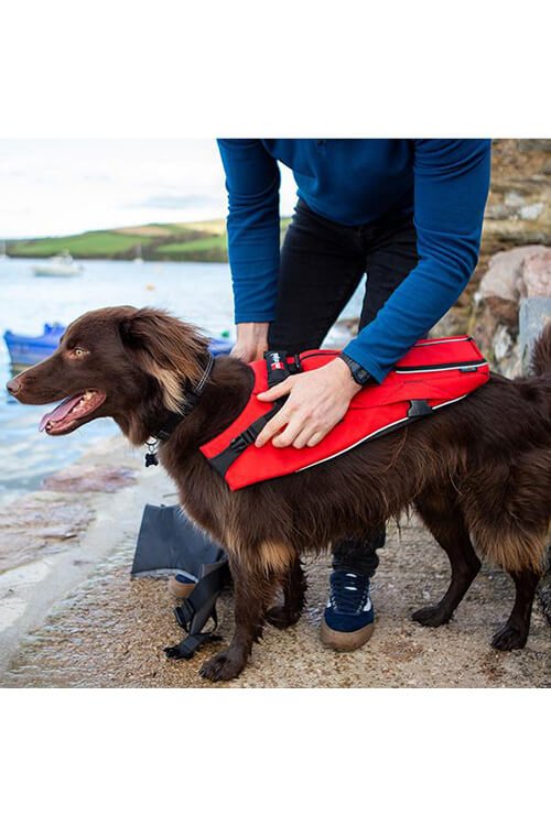 red paddle dog life jacket