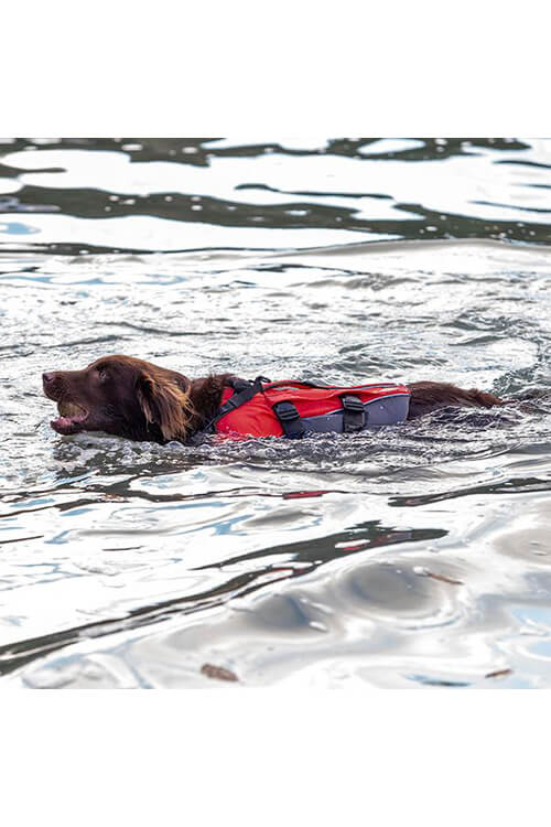 red paddle dog life vest