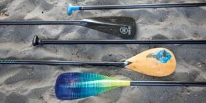 sup paddle buying guide